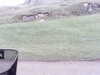 20200910-MOVI0002-frame0003.jpg