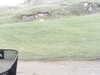 20200910-MOVI0002-frame0004.jpg