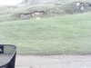 20200910-MOVI0002-frame0005.jpg