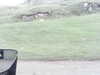 20200910-MOVI0003-frame0002.jpg