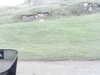 20200910-MOVI0003-frame0003.jpg