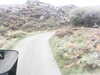 20200910-MOVI0004-frame0001.jpg