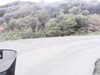 20200910-MOVI0004-frame0002.jpg