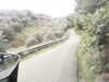 20200910-MOVI0004-frame0005.jpg