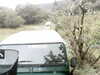 20200910-MOVI0005-frame0004.jpg