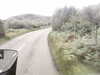 20200910-MOVI0010-frame0003.jpg