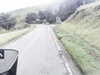 20200910-MOVI0019-frame0002.jpg