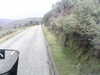 20200910-MOVI0020-frame0005.jpg
