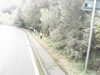 20200910-MOVI0028-frame0005.jpg