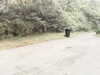 20200910-MOVI0029-frame0004.jpg
