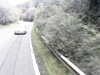 20200910-MOVI0029-frame0005.jpg