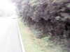 20200910-MOVI0030-frame0002.jpg