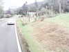 20200910-MOVI0030-frame0003.jpg