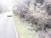 20200910-MOVI0030-frame0004.jpg