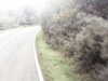 20200910-MOVI0031-frame0003.jpg