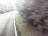 20200910-MOVI0031-frame0004.jpg