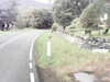 20200910-MOVI0031-frame0005.jpg