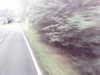 20200910-MOVI0032-frame0002.jpg