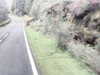 20200910-MOVI0032-frame0003.jpg