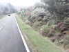 20200910-MOVI0032-frame0004.jpg