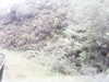 20200910-MOVI0034-frame0005.jpg