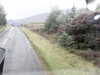 20200910-MOVI0036-frame0004.jpg