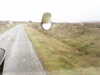 20200910-MOVI0038-frame0002.jpg