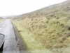20200910-MOVI0038-frame0005.jpg