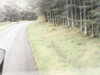 20200910-MOVI0039-frame0002.jpg