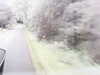 20200910-MOVI0039-frame0005.jpg