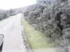 20200910-MOVI0040-frame0002.jpg