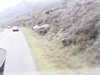 20200910-MOVI0041-frame0002.jpg
