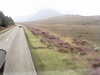 20200910-MOVI0042-frame0002.jpg