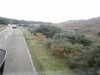 20200910-MOVI0042-frame0003.jpg