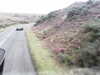 20200910-MOVI0042-frame0004.jpg