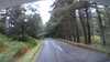 20200910-042333A-frame0003.jpg