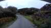 20200910-230625A-frame0005.jpg
