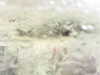 20200911-MOVI0000-frame0002.jpg