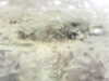 20200911-MOVI0000-frame0003.jpg