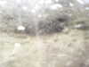 20200911-MOVI0001-frame0002.jpg