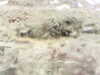 20200911-MOVI0001-frame0003.jpg