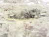20200911-MOVI0001-frame0004.jpg