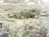 20200911-MOVI0002-frame0004.jpg