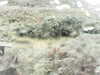 20200911-MOVI0004-frame0001.jpg