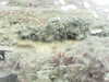 20200911-MOVI0004-frame0002.jpg