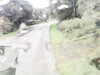 20200911-MOVI0006-frame0003.jpg