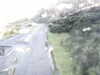 20200911-MOVI0008-frame0002.jpg