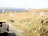 20200911-MOVI0009-frame0003.jpg