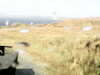 20200911-MOVI0009-frame0005.jpg