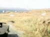 20200911-MOVI0010-frame0003.jpg